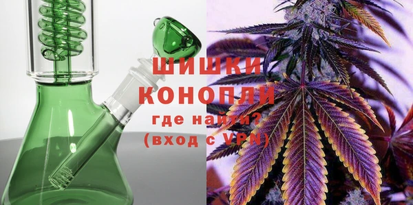 бошки Бородино