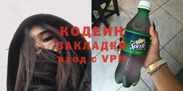 бошки Бородино